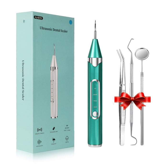 Plaque-Entferner für Zähne Zahnstein-Entferner für Zähne mit LED-Licht Dentalwerkzeuge Wiederaufladbar Sicher für Erwachsene Kinder
